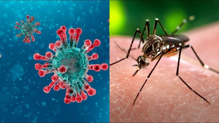 Centroamérica con doble amenaza de dengue y coronavirus