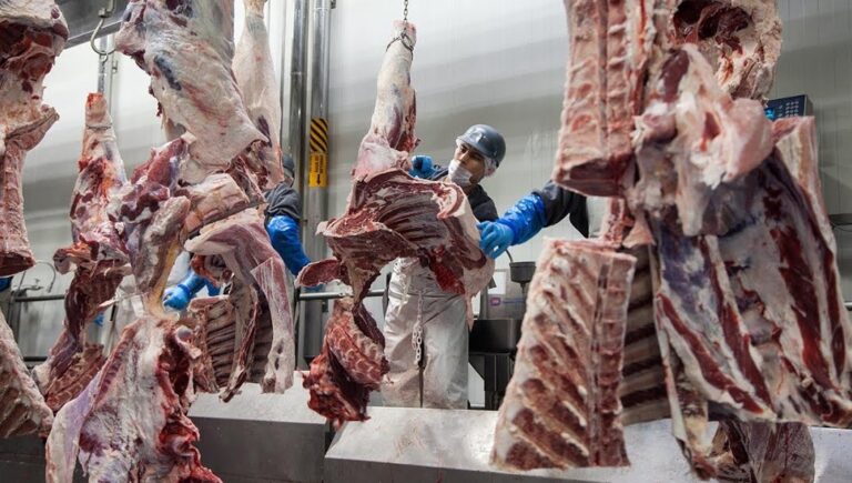 Plantas procesadoras de carne registran más de 23,000 casos de coronavirus