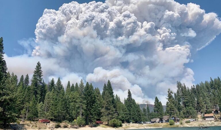 8 bosques nacionales de California cerrarán debido al riesgo de incendios