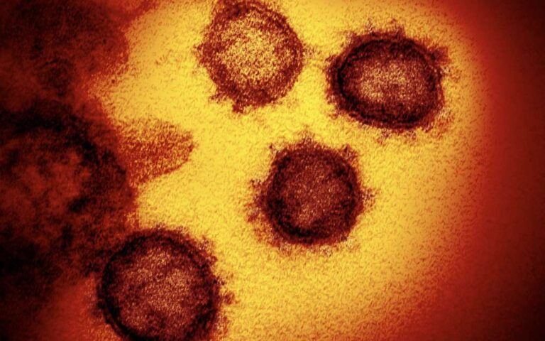 Coronavirus encuentra una segunda vía de entrada a las células