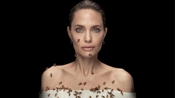 Angelina Jolie abejas