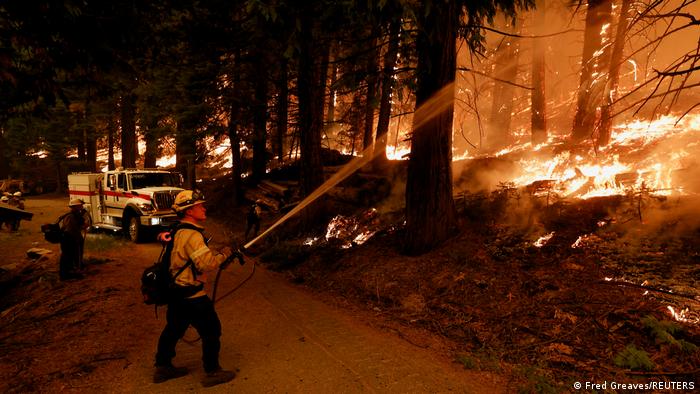 Incendios en California han arrasado con 72 mil hectáreas